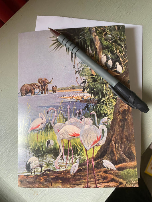 African Wildlife Antique 5x7 inch Greeting Card - Antique Reproduction - FREE SHIPPING