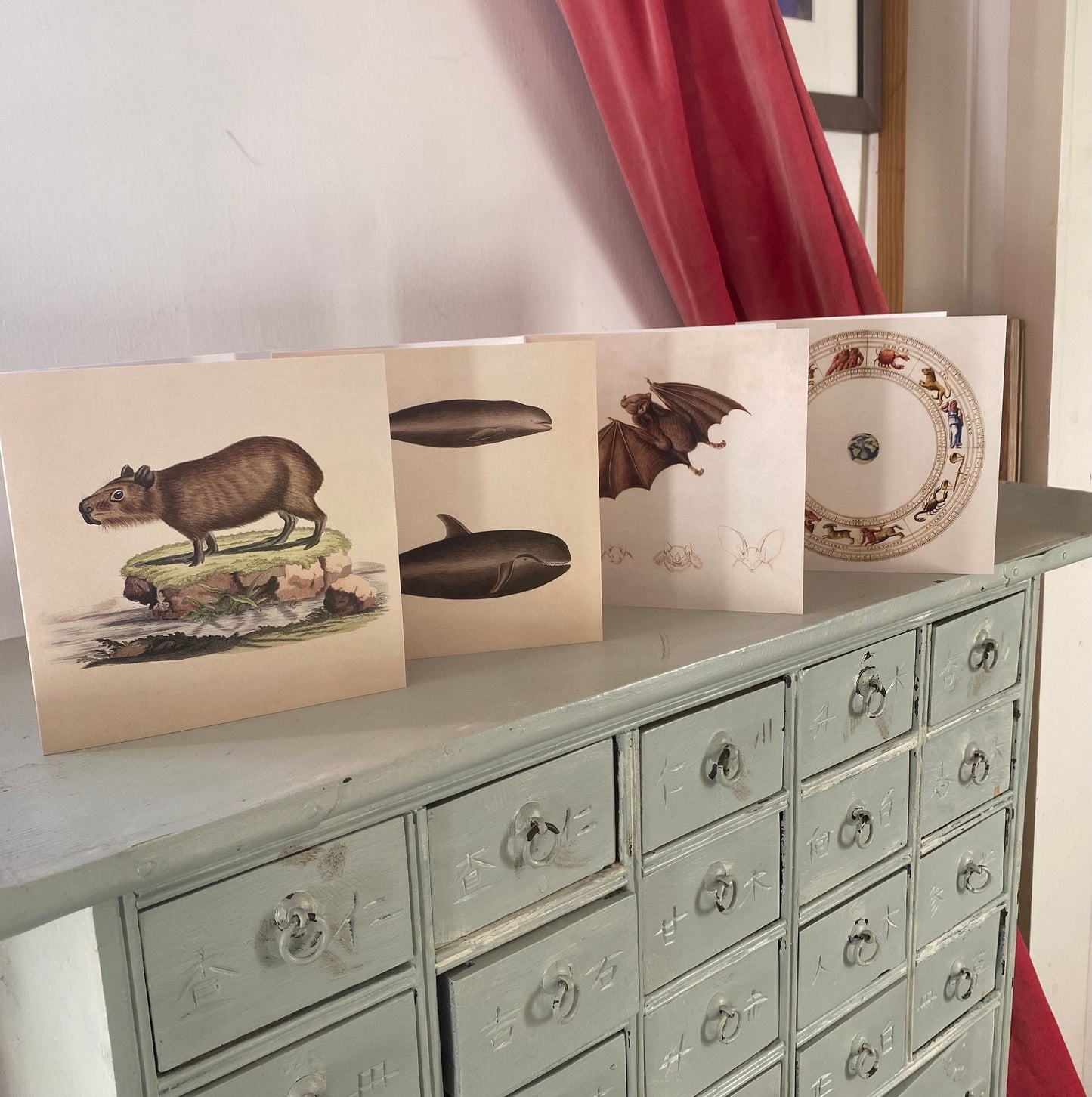 Capybara Greeting Card - 125 x 125mm Square Card - Antique Reproduction - FREE SHIPPING