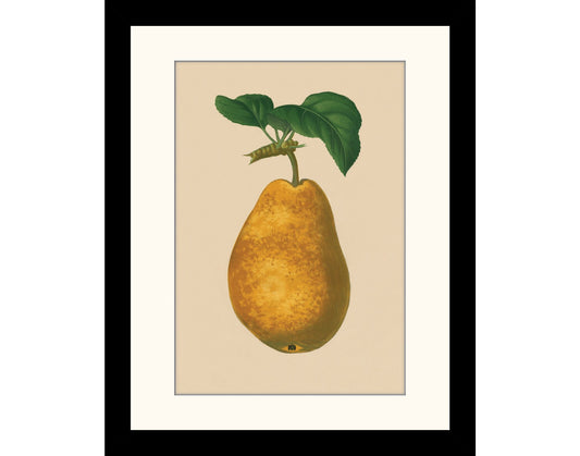 Pear Print