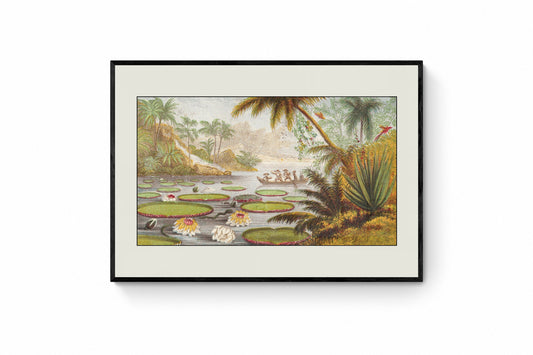 Victoria Regia Lily Print