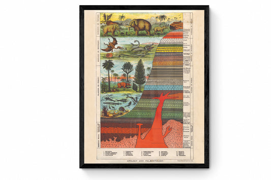 Geology and Palaentology Print - Antique Reproduction - Earths Crust Diagram - Dinosaur - Fossil - Retro Wall Decor - Available Framed