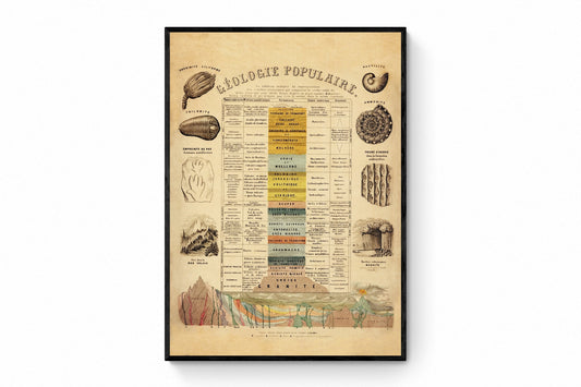 Geology and Palaentology Poster – antique art print from Ninska Designs