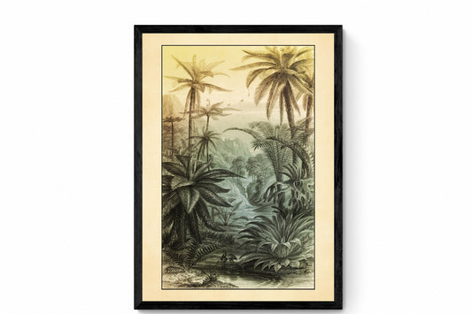 Tree Ferns Print