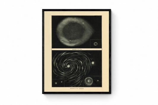 Ring Nebula and Spiral Nebula Antique Art Reproduction - Constellation - Astronomy - Celestial Art - Wall Decor - Available Framed