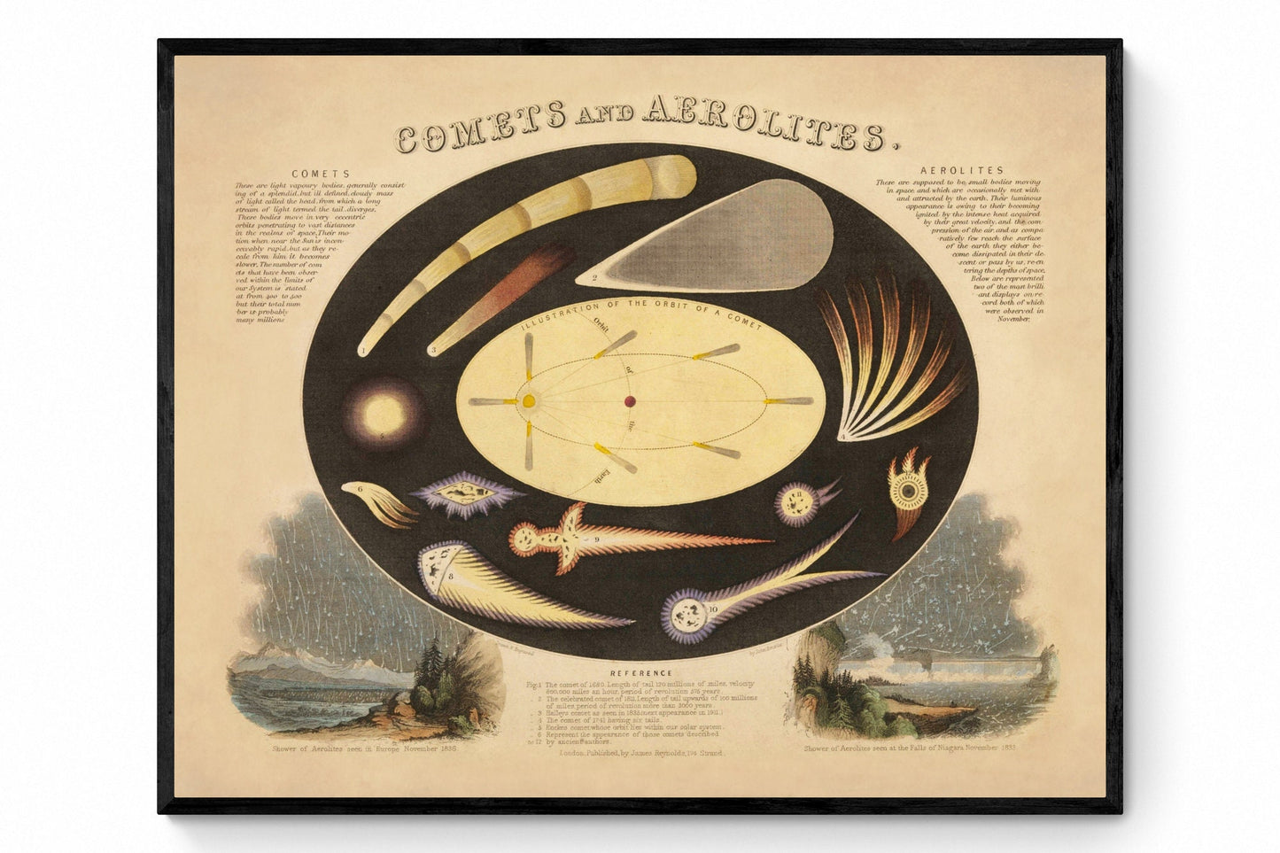 Comets and Aerolites Print - Antique Reproduction - dated 1846 - Astronomy - Celestial Art - Astronomical Diagram - Available Framed