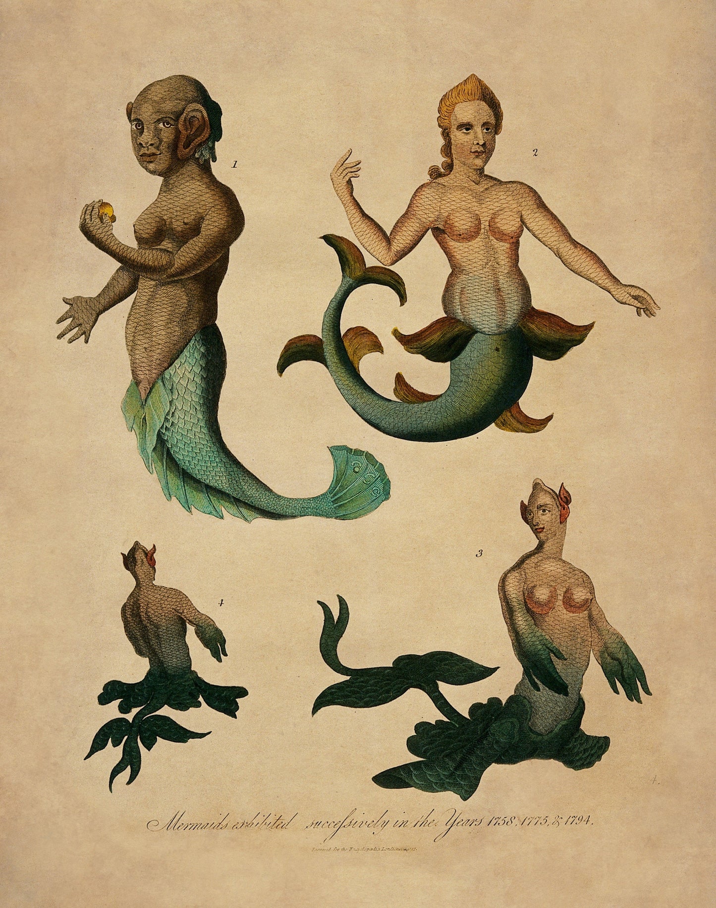 Mermaids exhibited successively in the years 1758,1775 and 1794 Antique Reproduction 1817 – antique art print from Ninska Designs