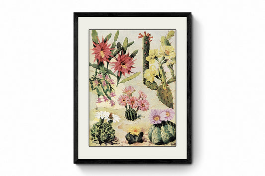 Cactus Jungle - Antique Art Reproduction - Surreal Antique Collage - Vintage Wall Art - Retro Wall Decor - Available Framed