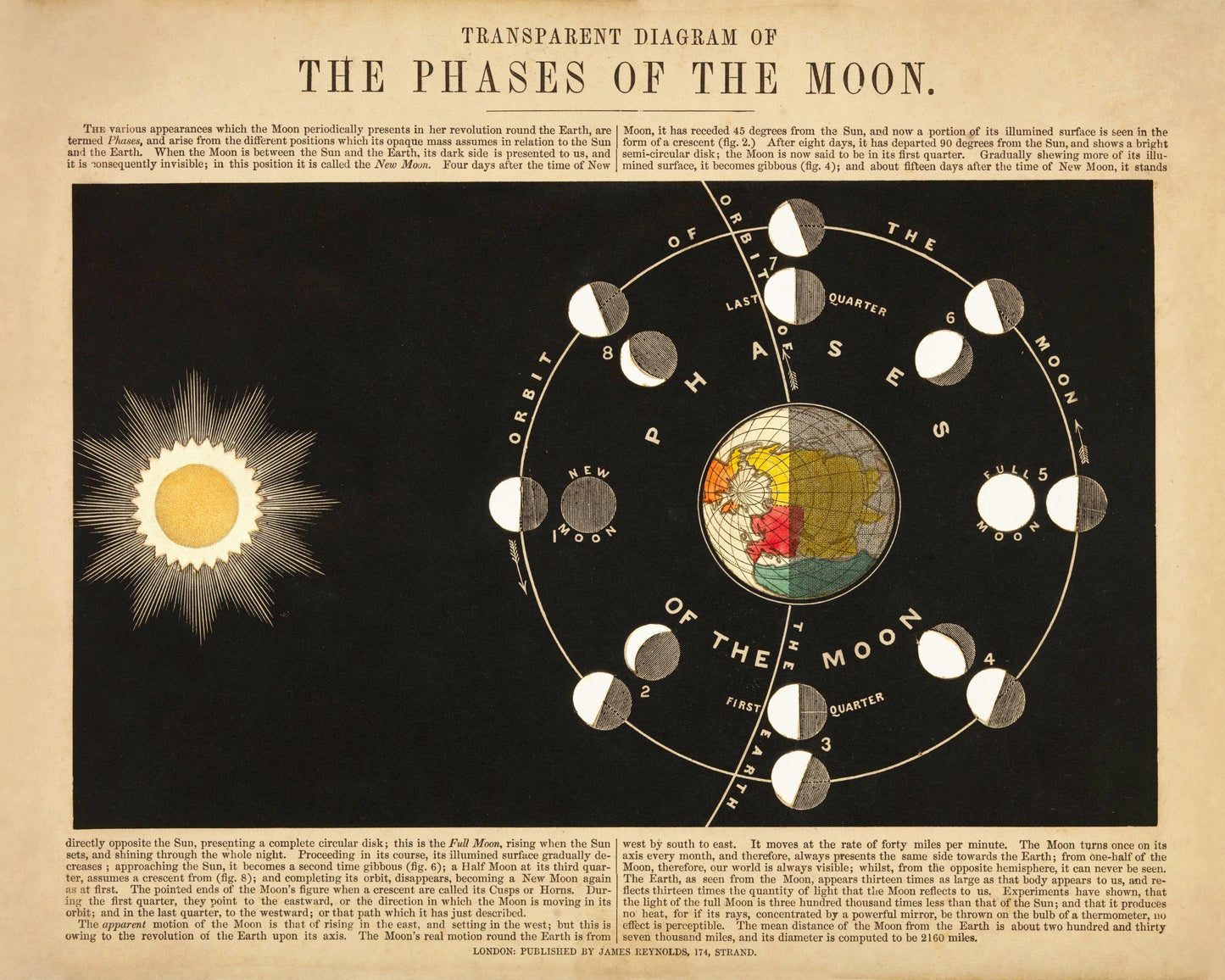 Phases of the Moon Print 1846 – antique art print from Ninska Designs