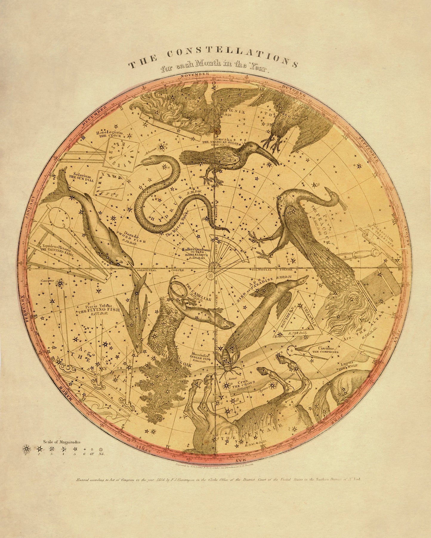 Constellations 1856
