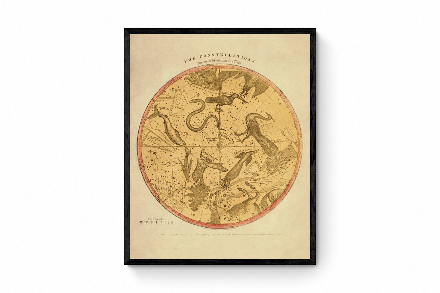 Constellations 1856