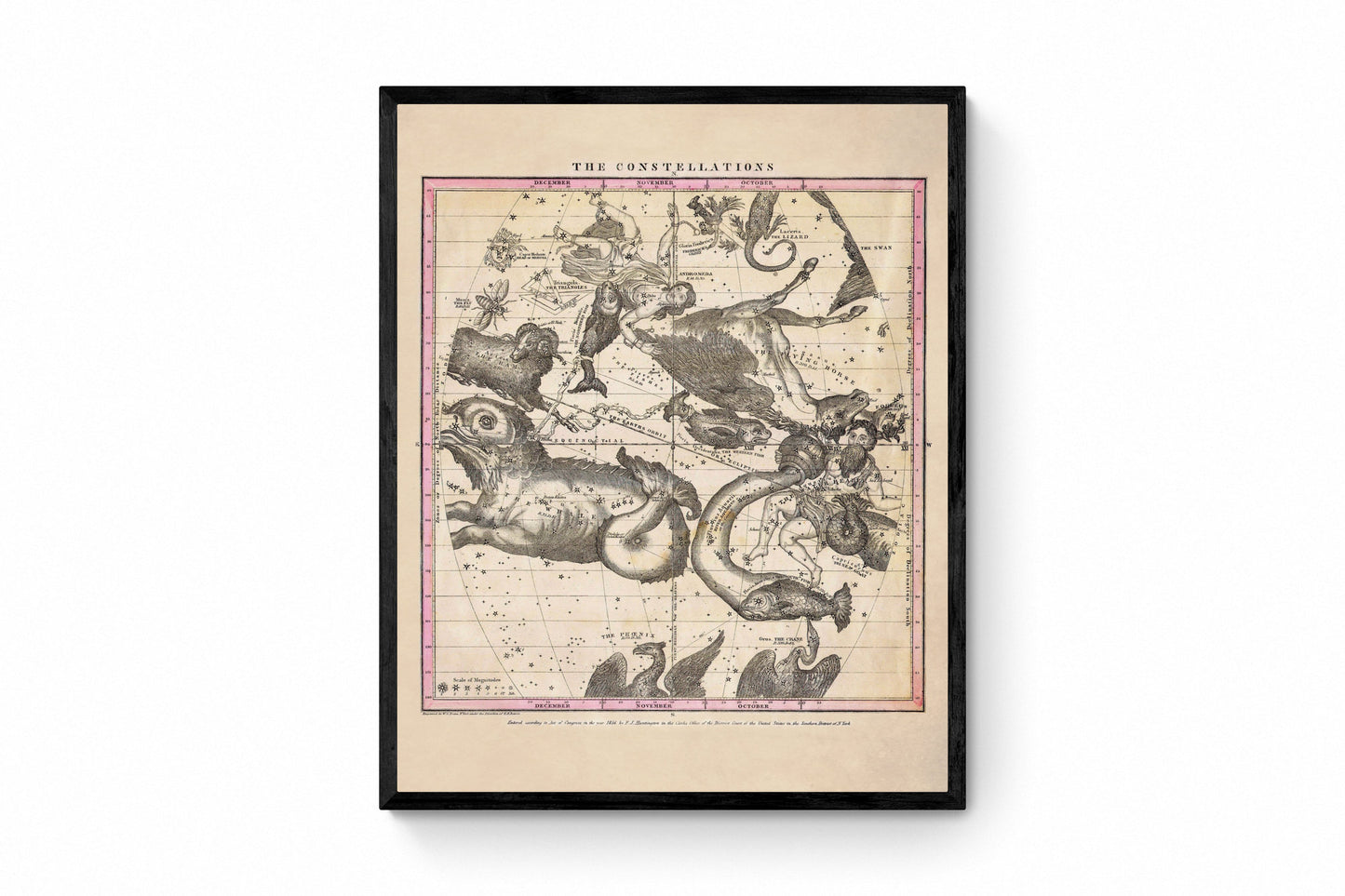 Constellations 1856