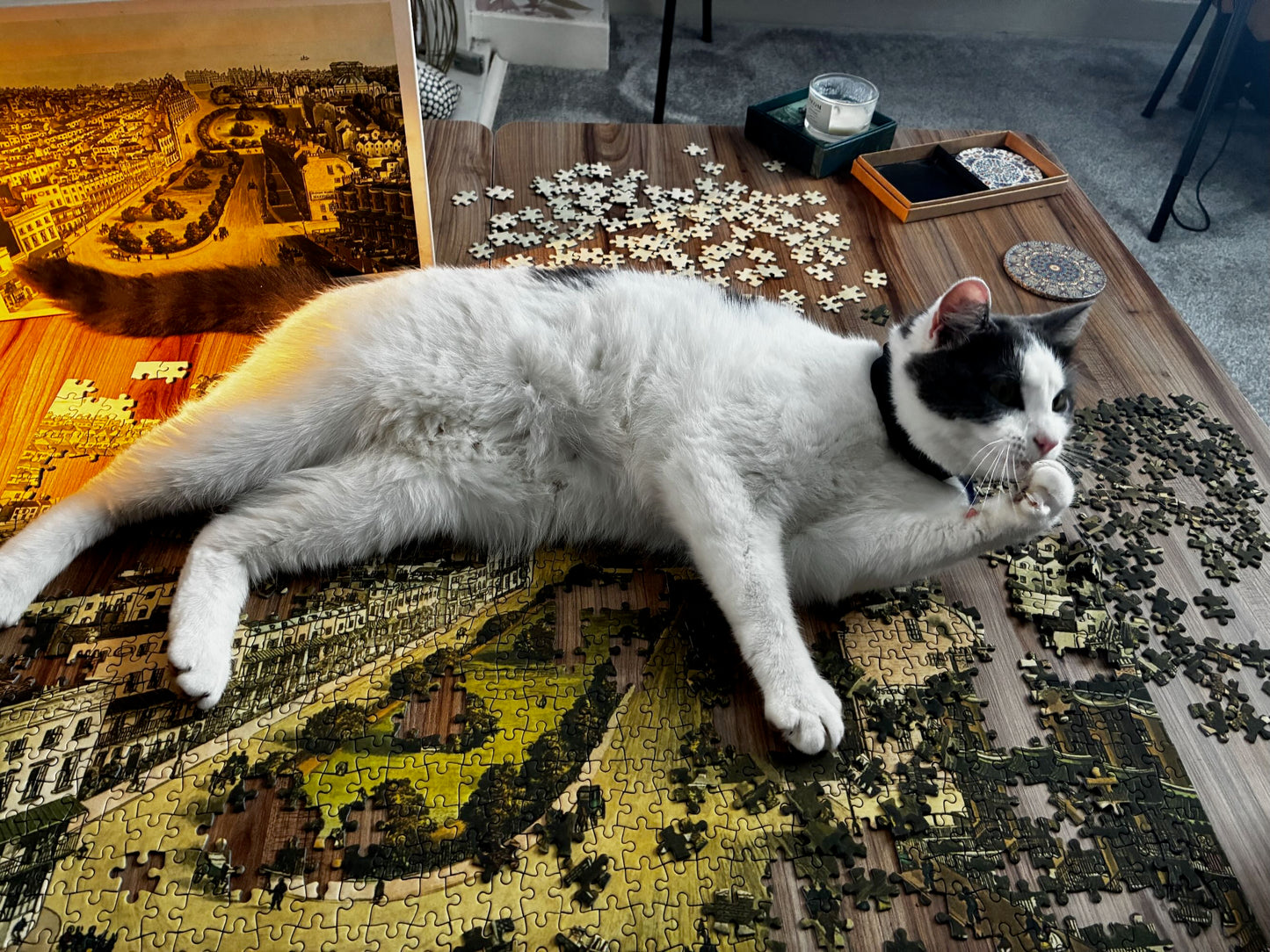 Brighton Bird's Eye View Jigsaw Puzzle - 1000 Pieces, Antique 1839 Map Design