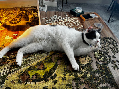 Brighton Bird's Eye View Jigsaw Puzzle - 1000 Pieces, Antique 1839 Map Design