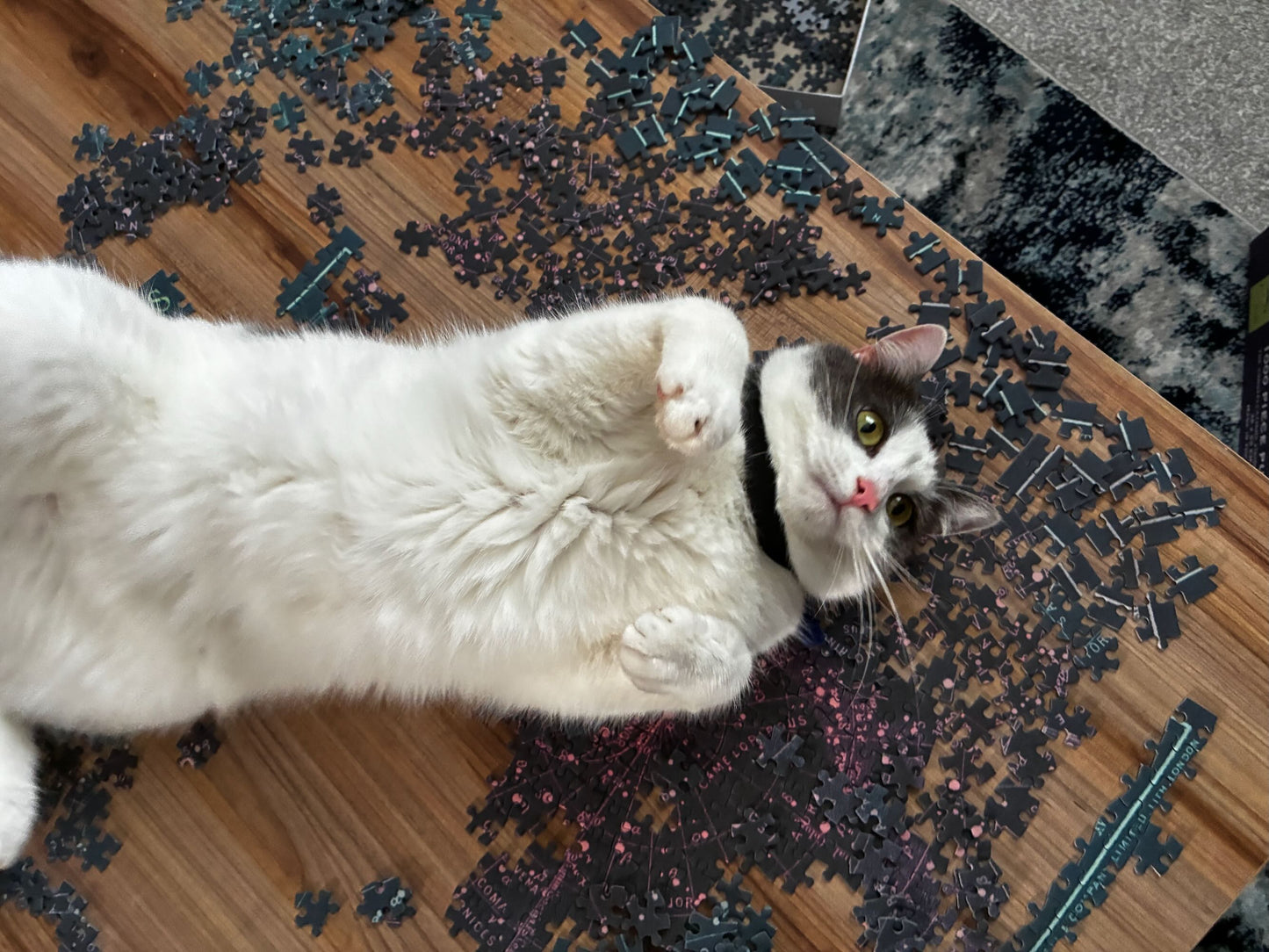 Constellations of Britain Jigsaw Puzzle - 1000 Pieces, Antique Astronomy Print