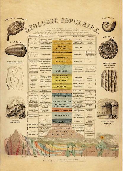 Geology and Palaentology Print