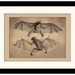 Bats Print