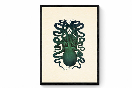 Octopus