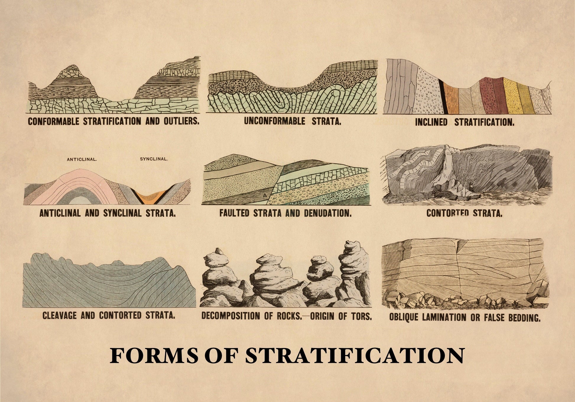 Forms of Stratification 1880 – antique art print from Ninska Designs
