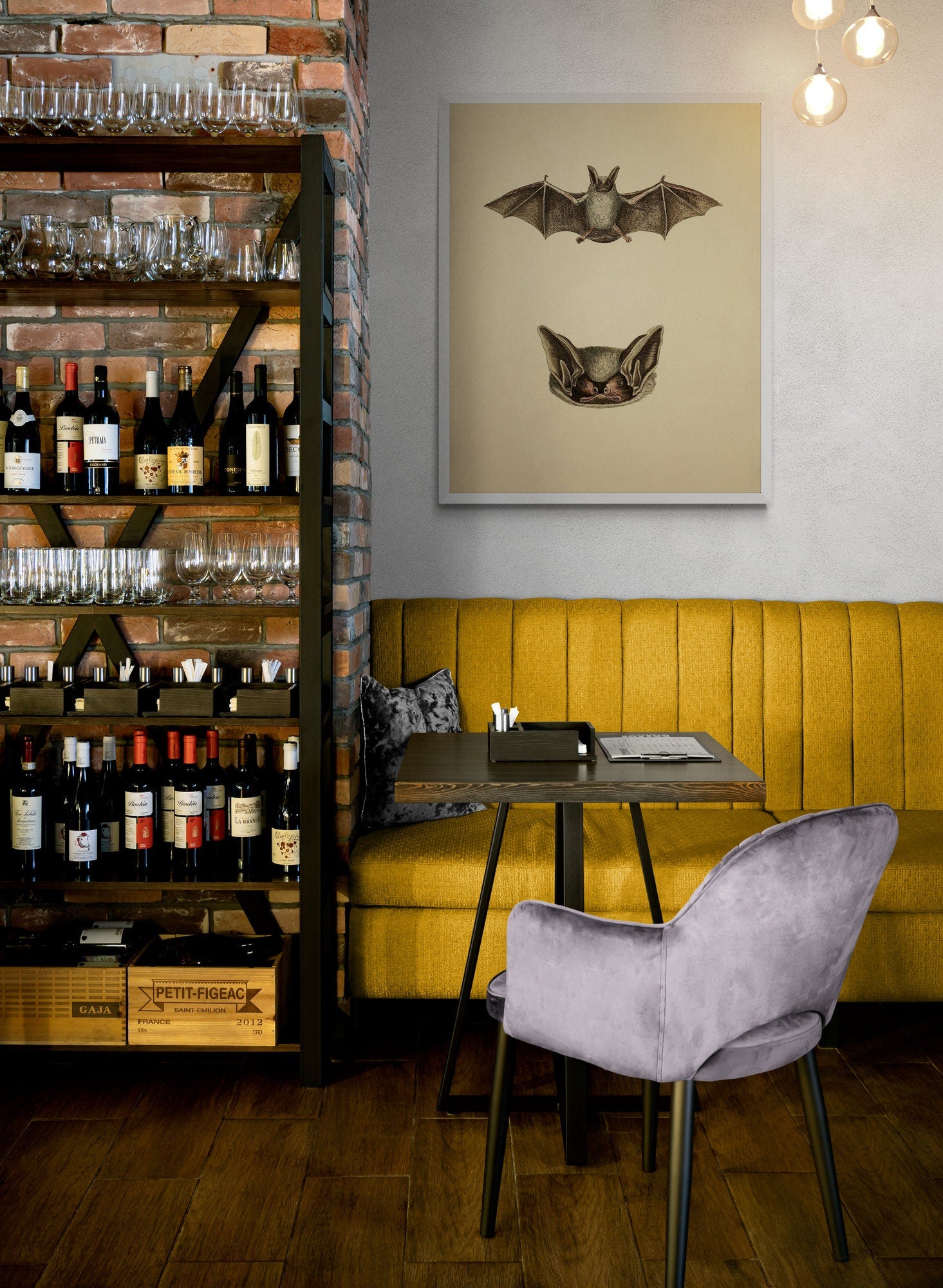 Bat Print - Parti-coloured bat? (Vespertilio murinus Linn) - Antique Reproduction - Available Framed