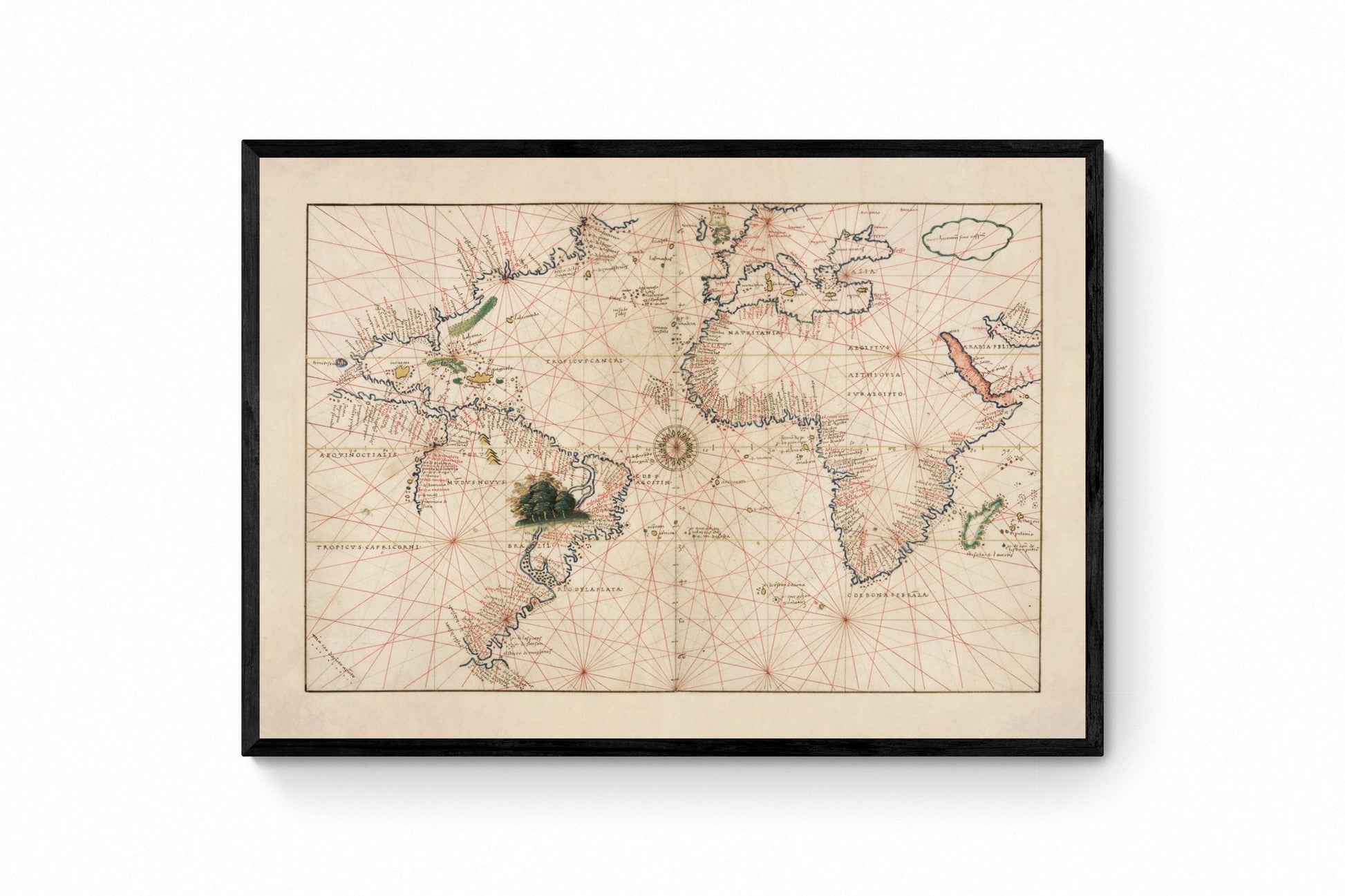 Atlantic Ocean Portolan Nautical Chart dated 1544 - Antique Reproduction - Navigation Chart - Available Framed