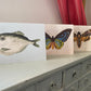 Butterfly Antique A6 Greeting Card - Antique Reproduction - FREE SHIPPING