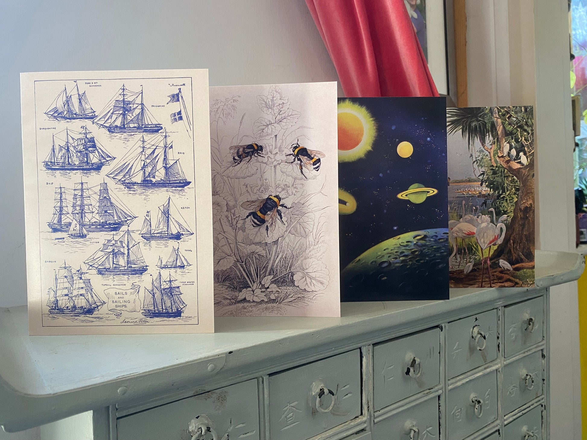 African Wildlife Antique 5x7 inch Greeting Card - Antique Reproduction - FREE SHIPPING