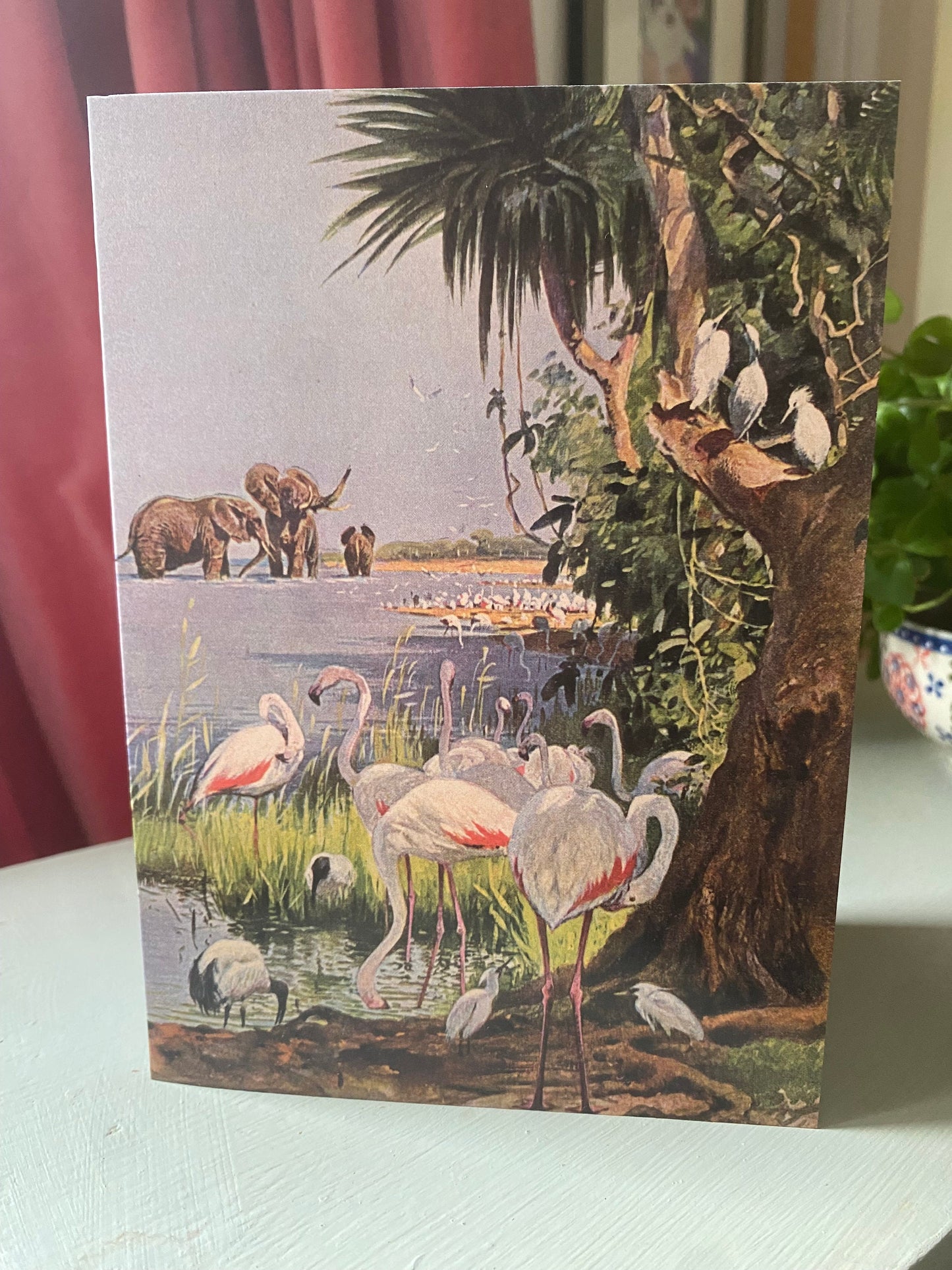 African Wildlife Antique 5x7 inch Greeting Card - Antique Reproduction - FREE SHIPPING