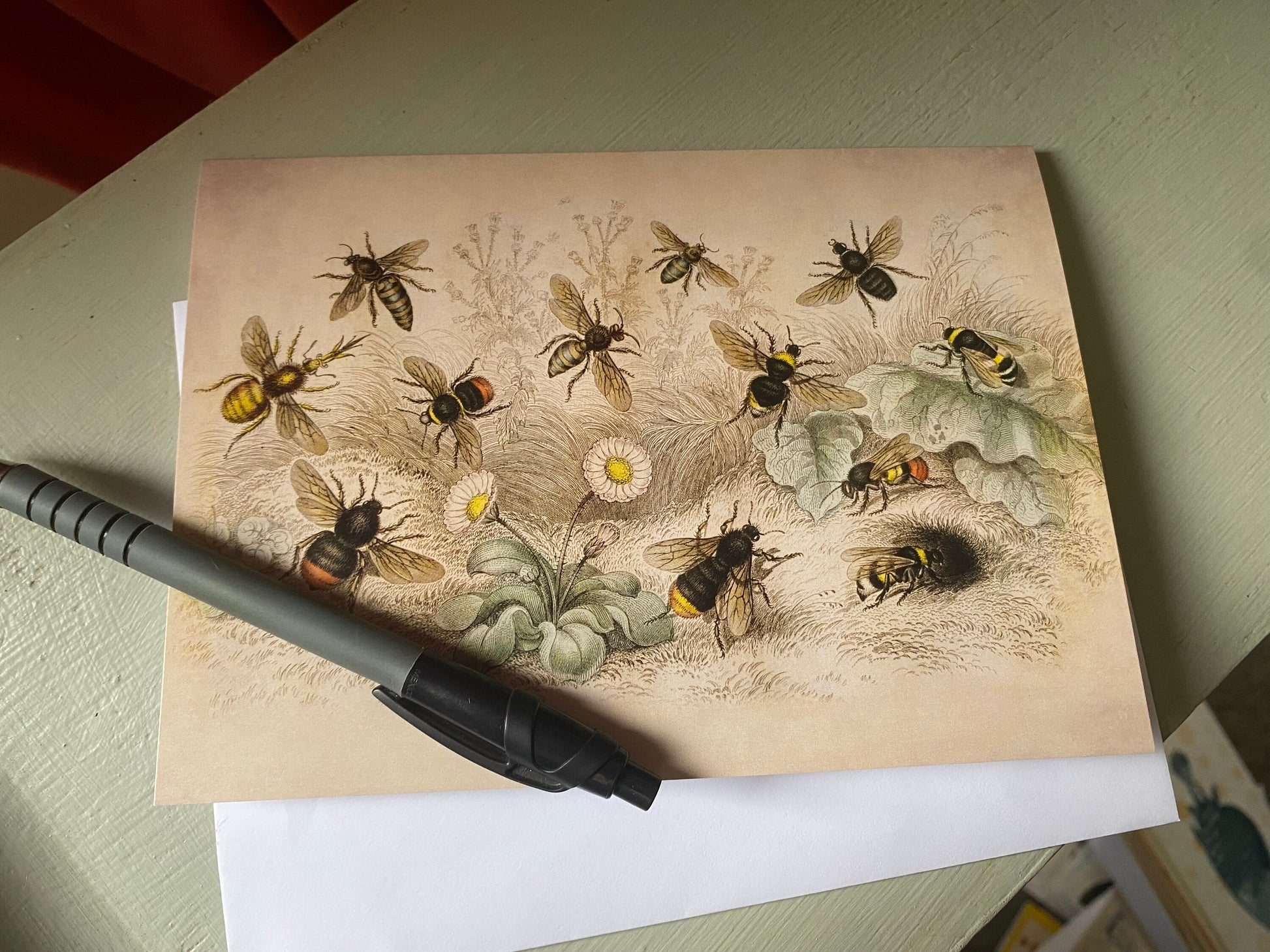 Bee Antique 5x7 inch Greeting Card - Antique Reproduction - FREE SHIPPING