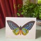 Butterfly Antique A6 Greeting Card - Antique Reproduction - FREE SHIPPING