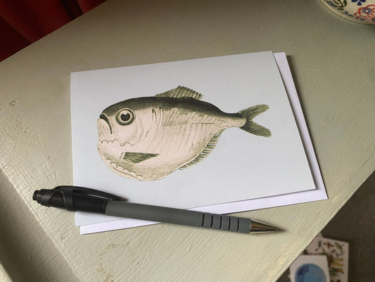 Fish Antique A6 Greeting Card - Antique Reproduction - FREE SHIPPING