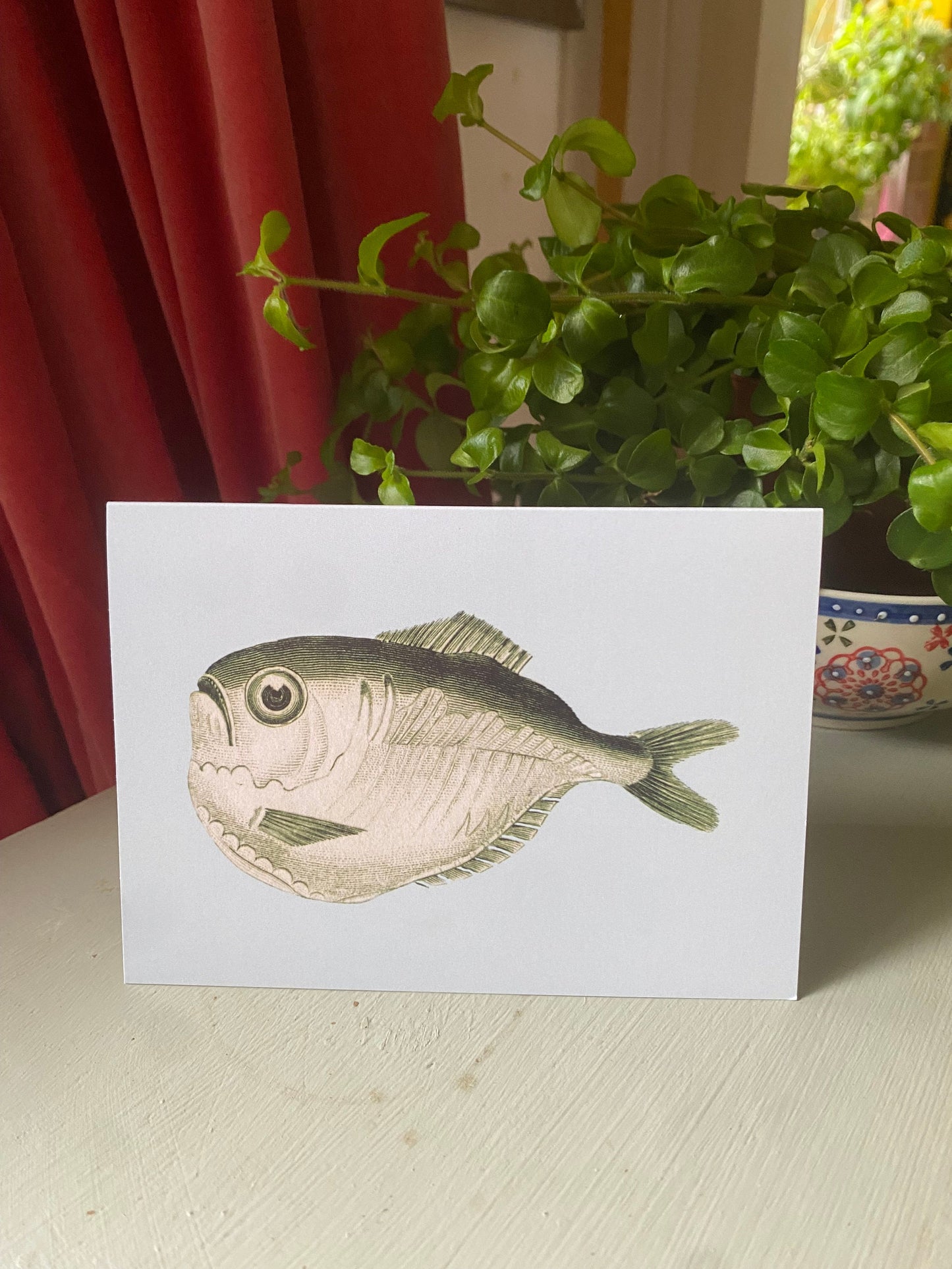 Fish Antique A6 Greeting Card - Antique Reproduction - FREE SHIPPING