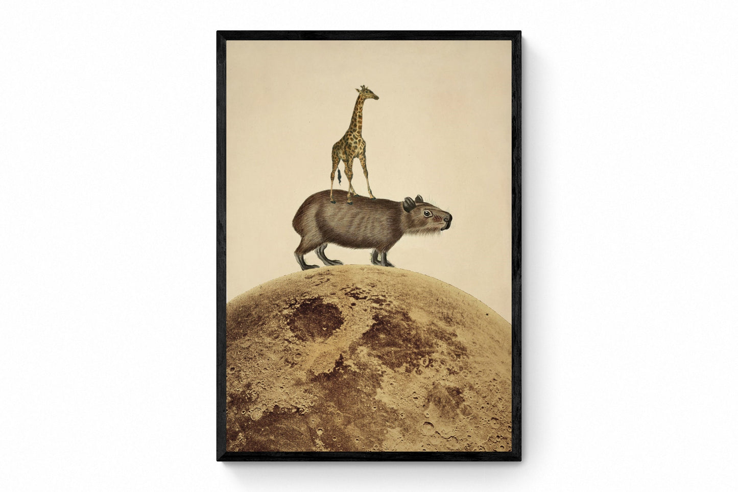 Giraffe Capybara Moon Collage Print - Antique Reproduction - Available Framed
