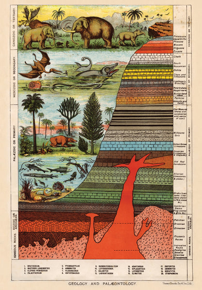 Geology & Palaeontology Jigsaw Puzzle – 1000 Pieces, Antique Diagram Design