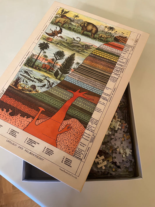 Geology & Palaeontology Jigsaw Puzzle – 1000 Pieces, Antique Diagram Design