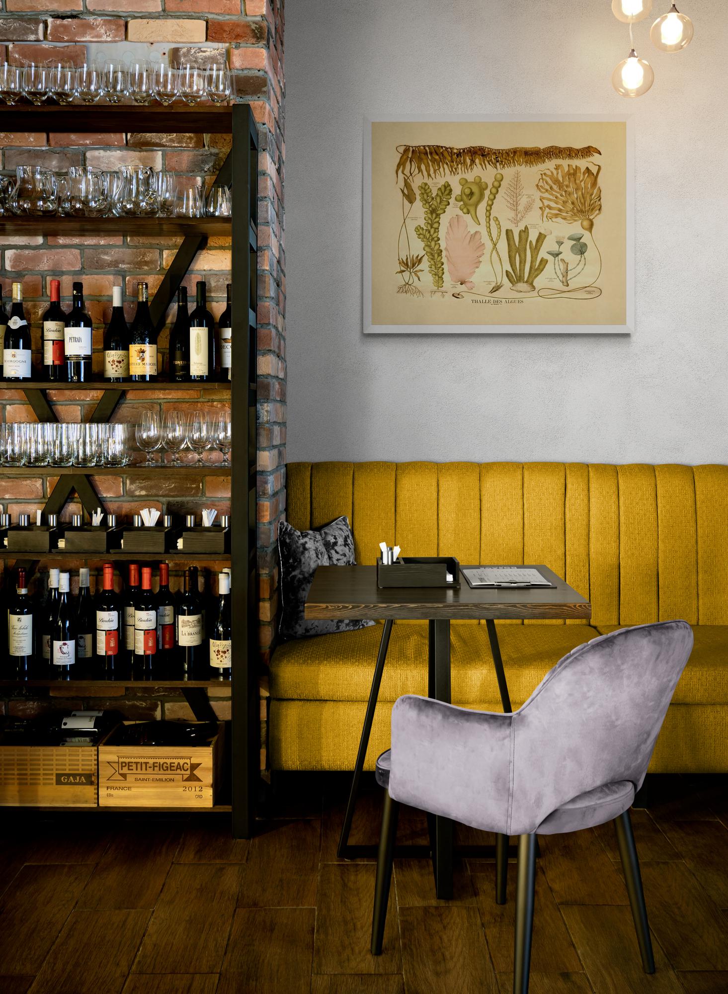 Algae Thalli - Seaweed Print - Antique Reproduction - Botanical Art - Ocean Decor - Marine Algae - Available Framed