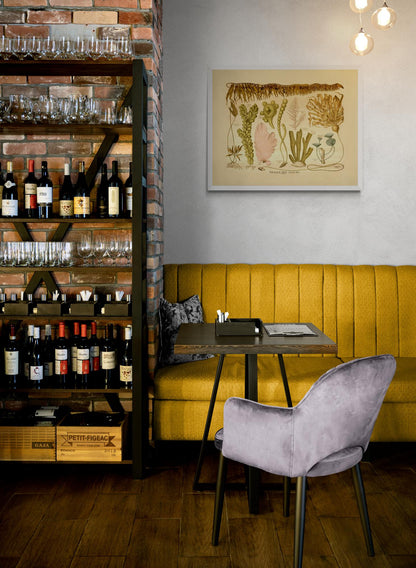 Algae Thalli - Seaweed Print - Antique Reproduction - Botanical Art - Ocean Decor - Marine Algae - Available Framed