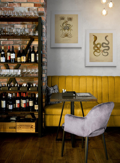 Eastern Diamondbank Rattlesnake and Naia Lutescens Cobra - dated 1853 - Antique Reproduction - Available Framed