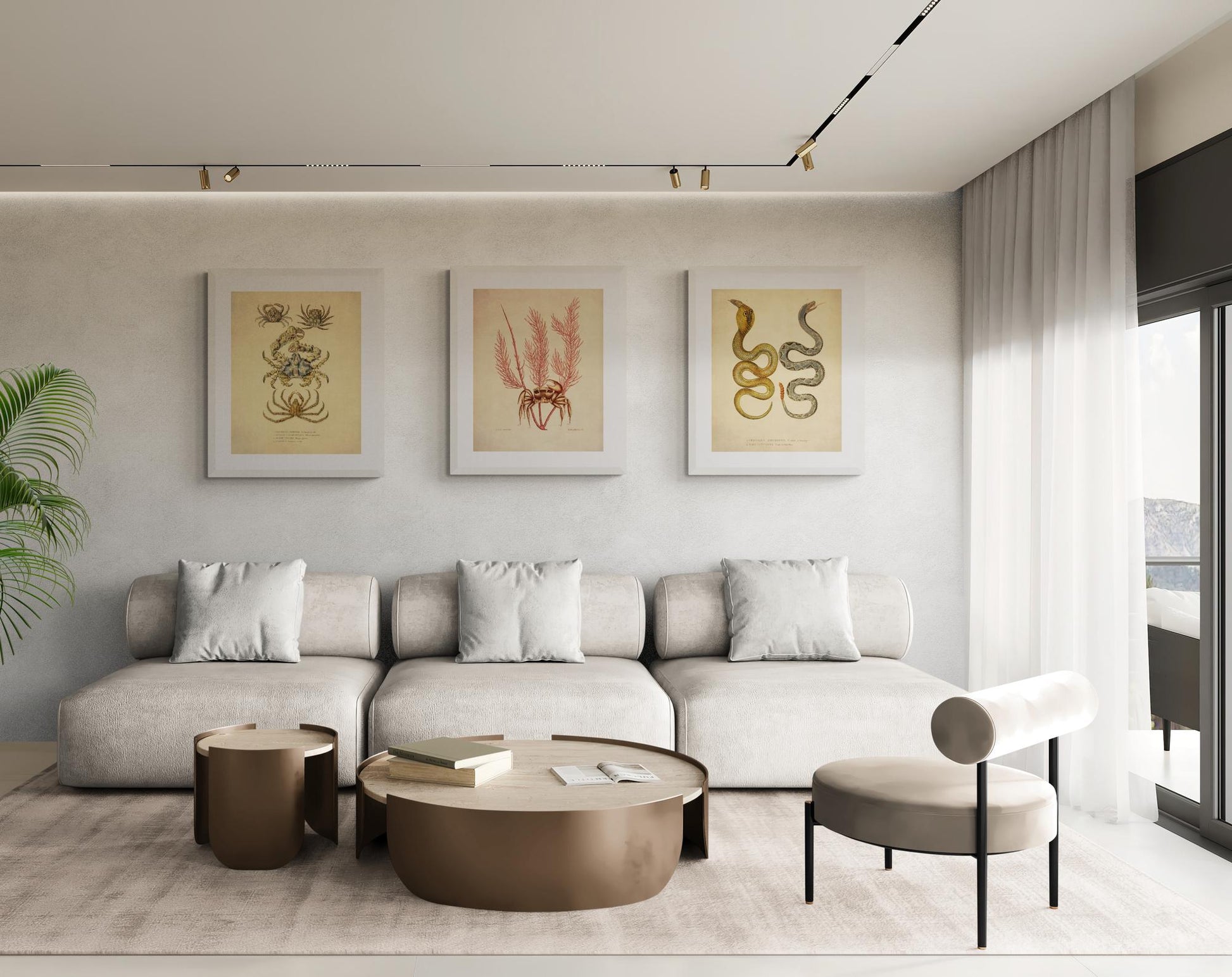 Crab (Cancer Arenarius) and Litophyton Coral - dated 1771 - Antique Reproduction - Available Framed