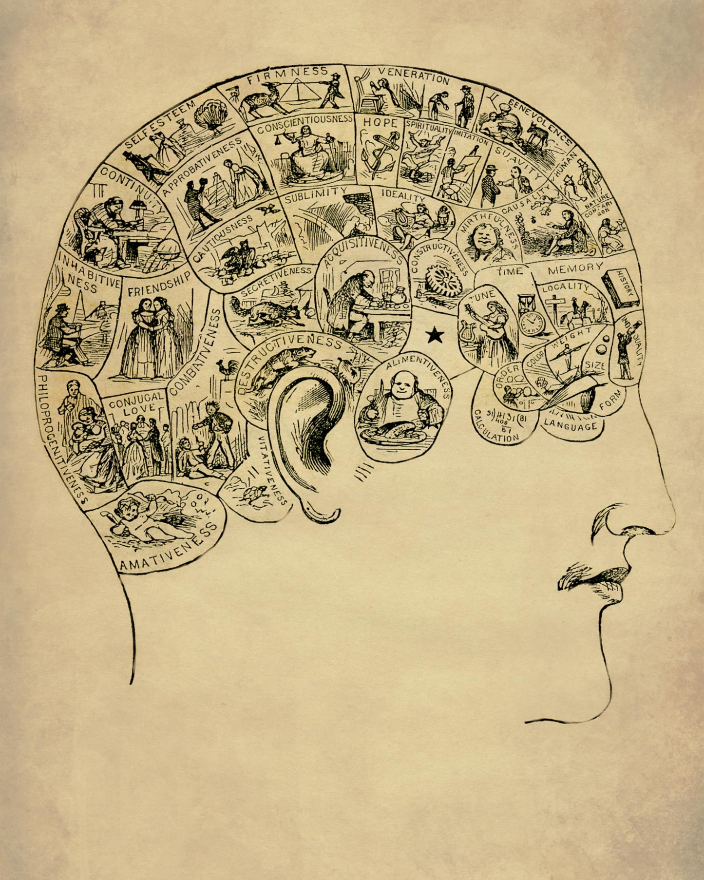 Phrenology Diagram Antique Reproduction - Psychology - dated 1871 - Available Framed