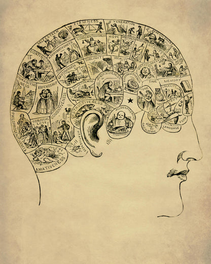 Phrenology Diagram Antique Reproduction - Psychology - dated 1871 - Available Framed