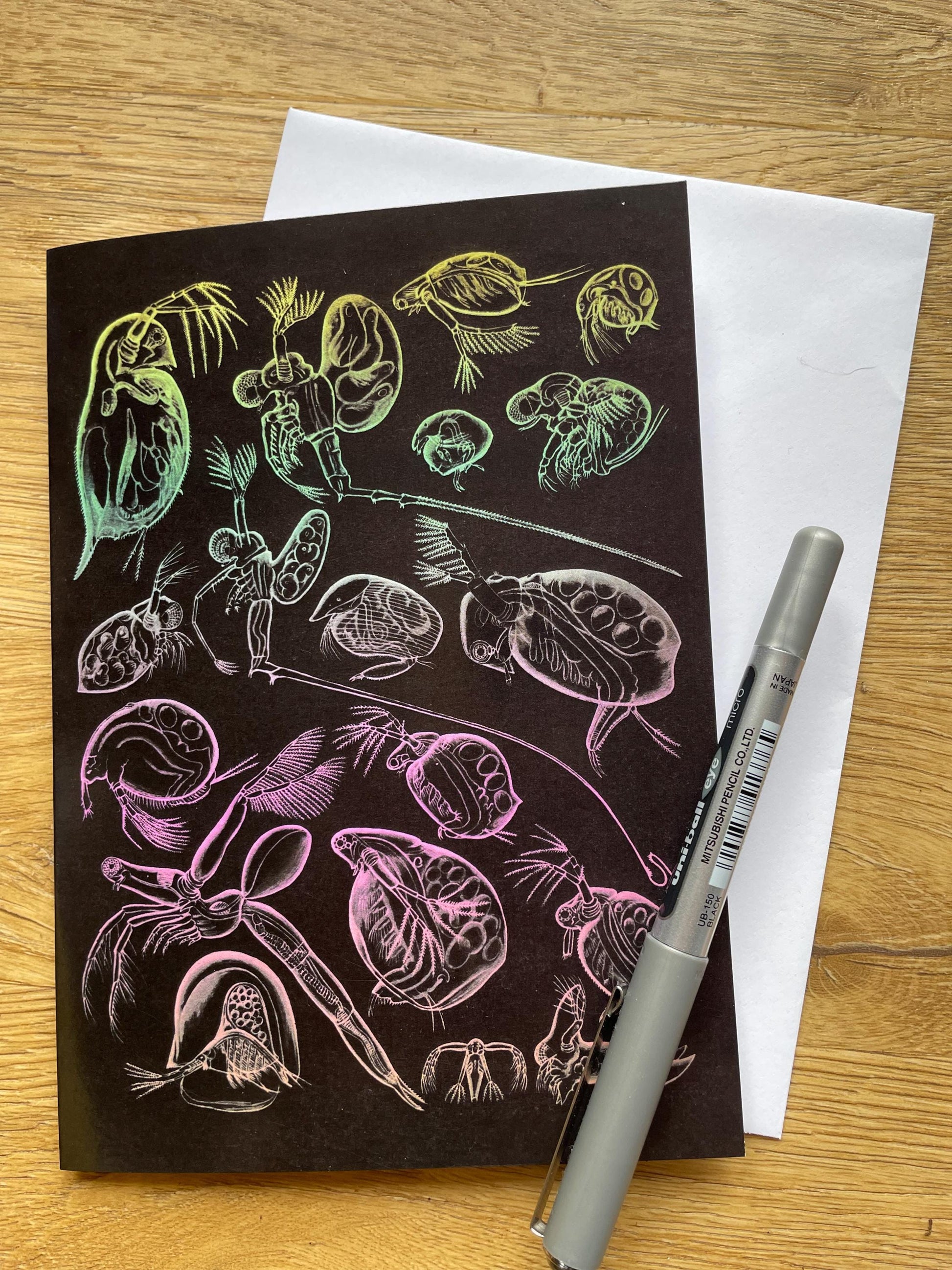 Water Fleas Antique 5x7 inch Greeting Card - Antique Reproduction - FREE SHIPPING