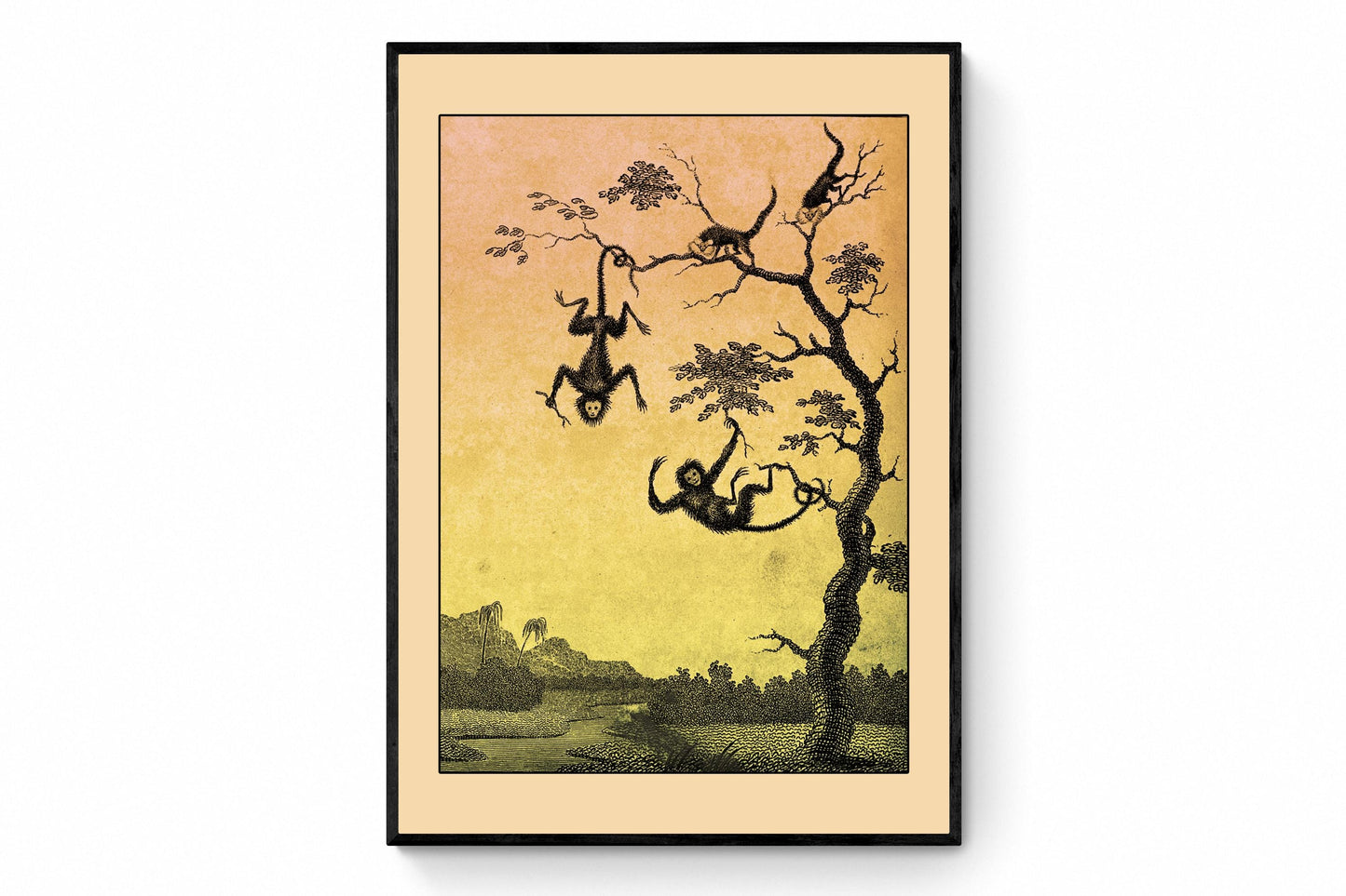 Luato and Saccawinkee monkeys in a tree