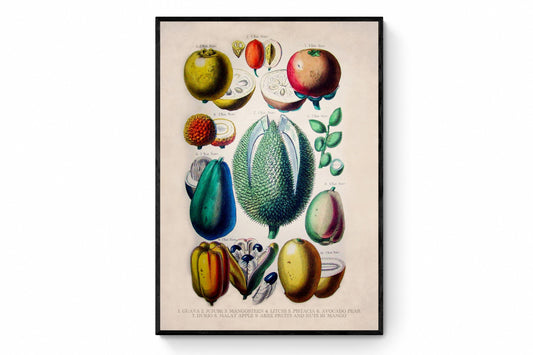 Fruits and Nuts dated 1874