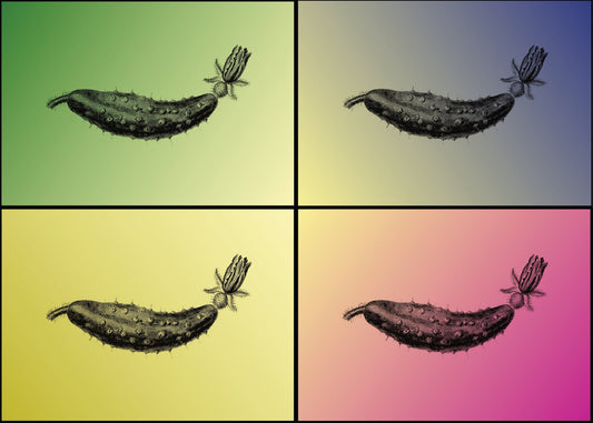 Gherkin Pop Art – antique art print from Ninska Designs