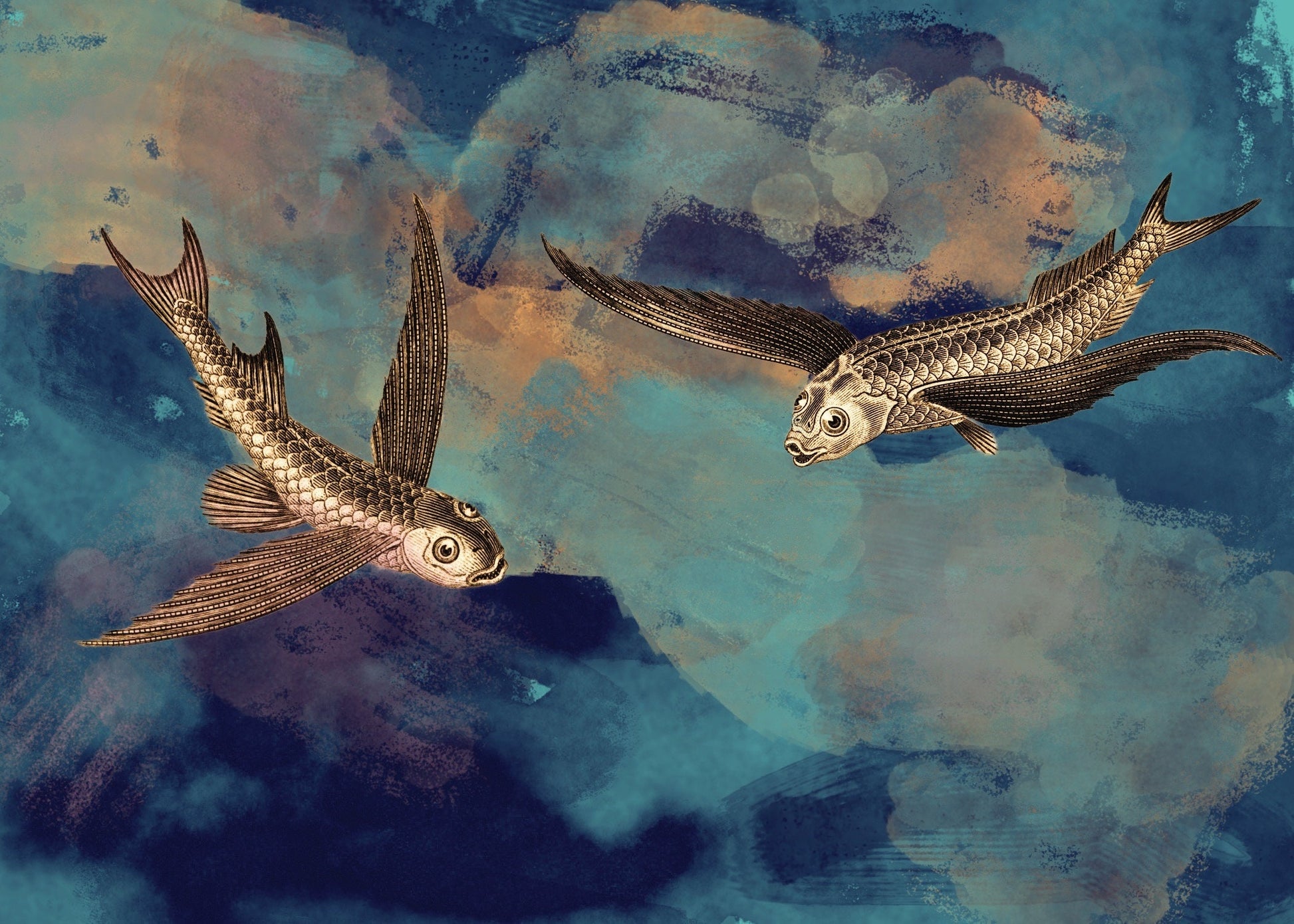 Flying Fish Watercolour – antique art print from Ninska Designs