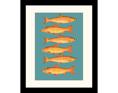 Retro Fish Art