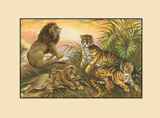 Lion, Lioness, Tiger and Tigress – antique art print from Ninska Designs