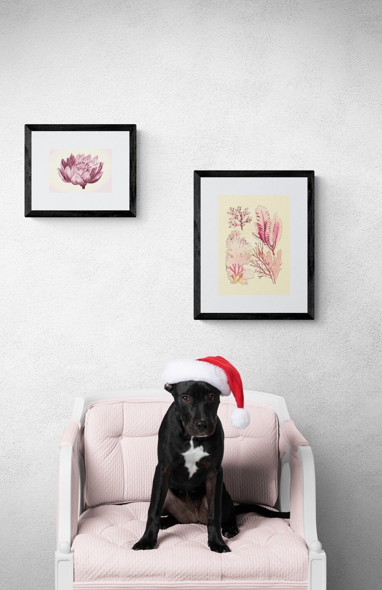 Seaweed Antique Reproduction