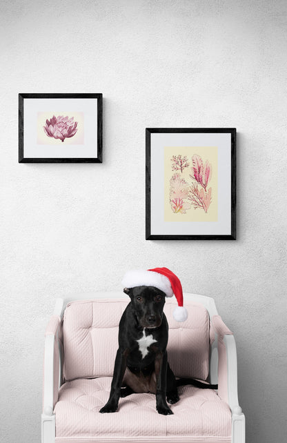 Seaweed Antique Reproduction