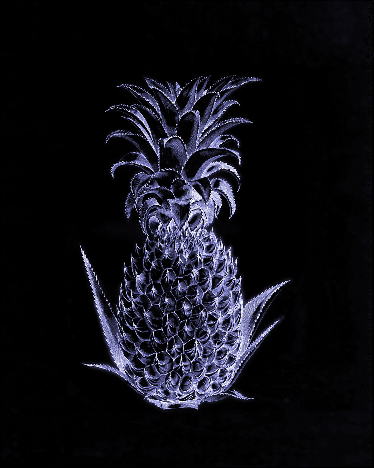 Blue Neon Pineapple Print ‚Äì antique art print from Ninska Designs